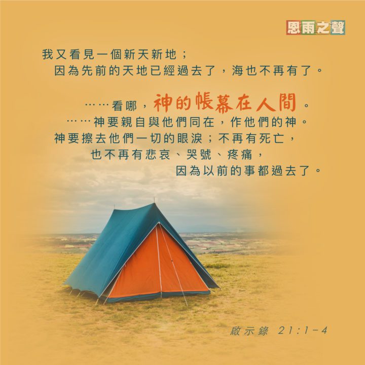 報紙之將逝 報紙之將逝
