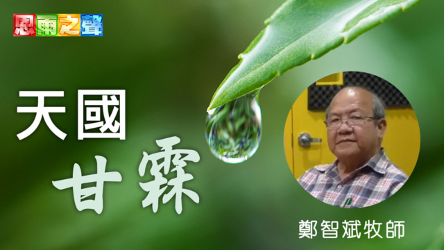 天國甘霖-Featured-image