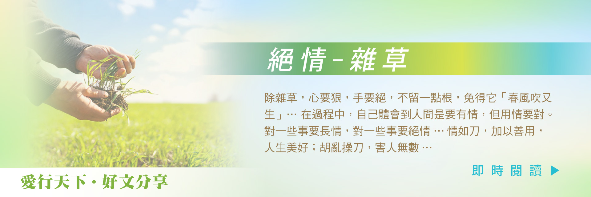 絕情 – 雜草