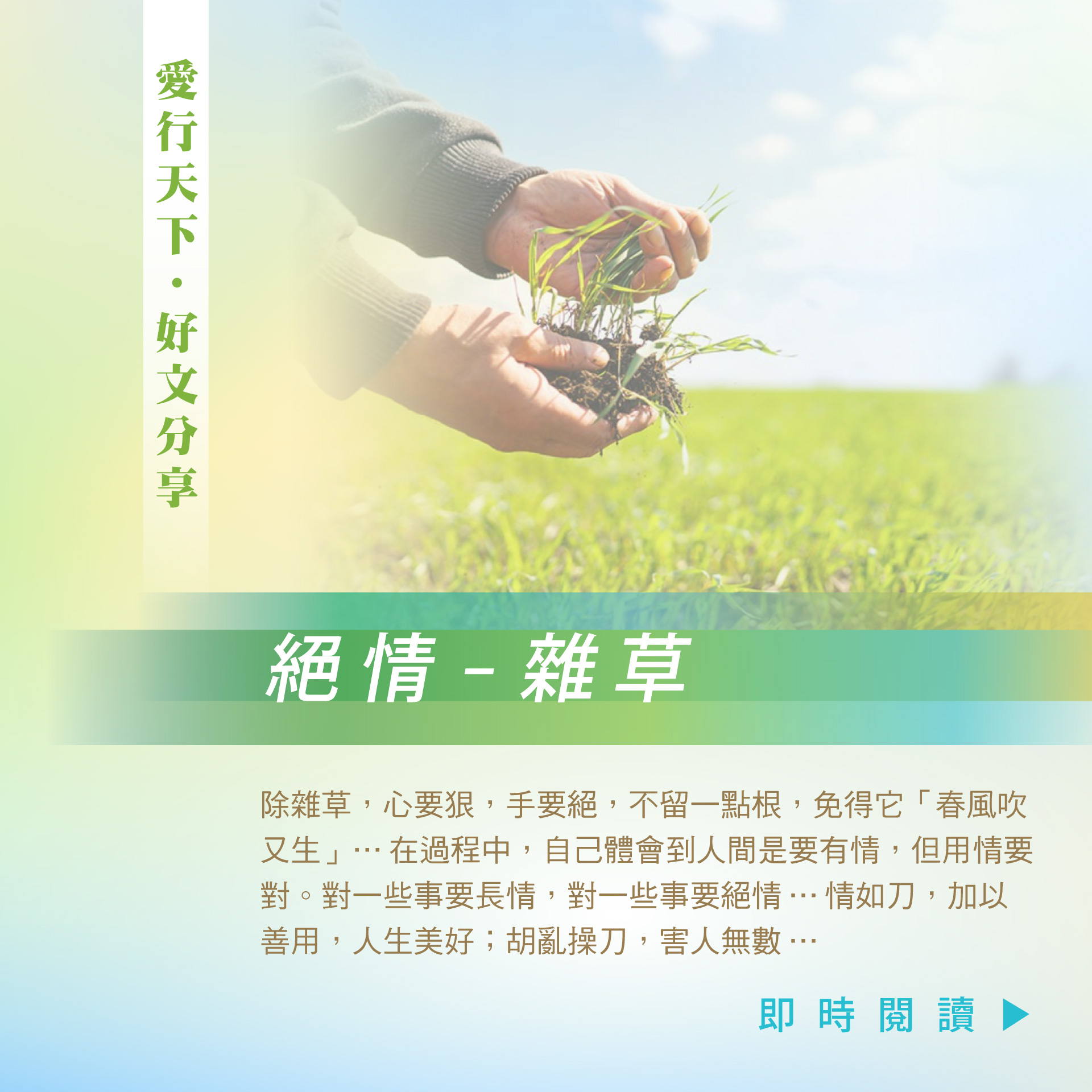 絕情 – 雜草